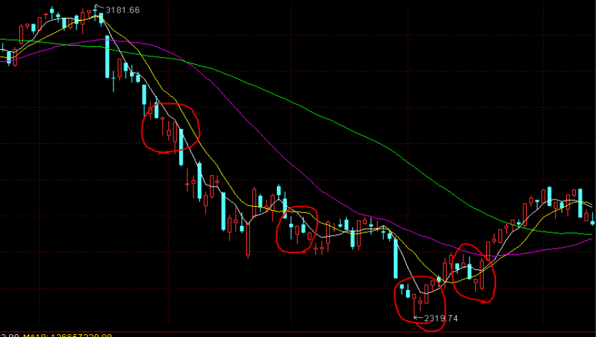 第33届广州博览会将于本月22日至24日举办