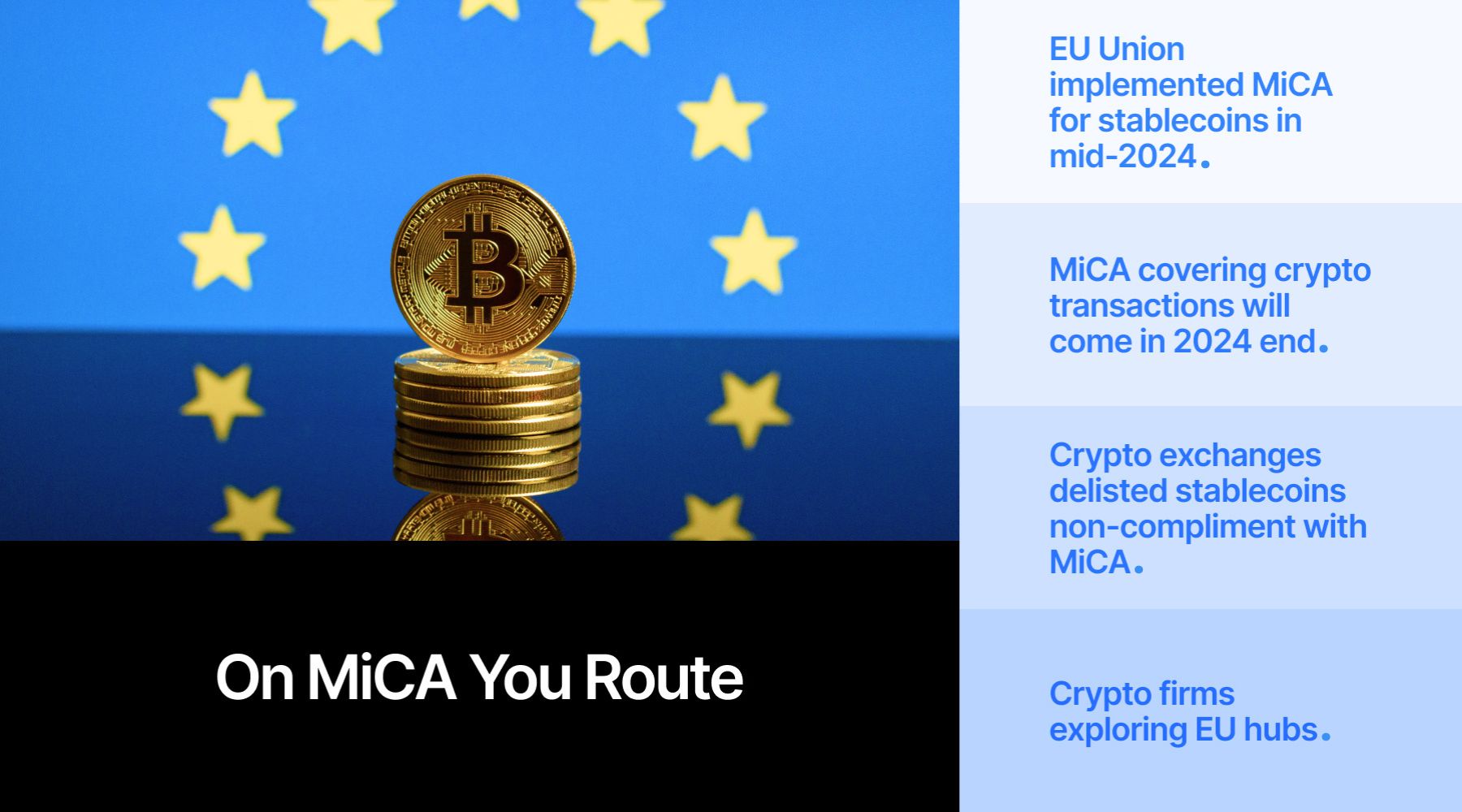 广东出台保护鸟类工作方案 提出全面加强鸟类迁飞通道保护等六大任务